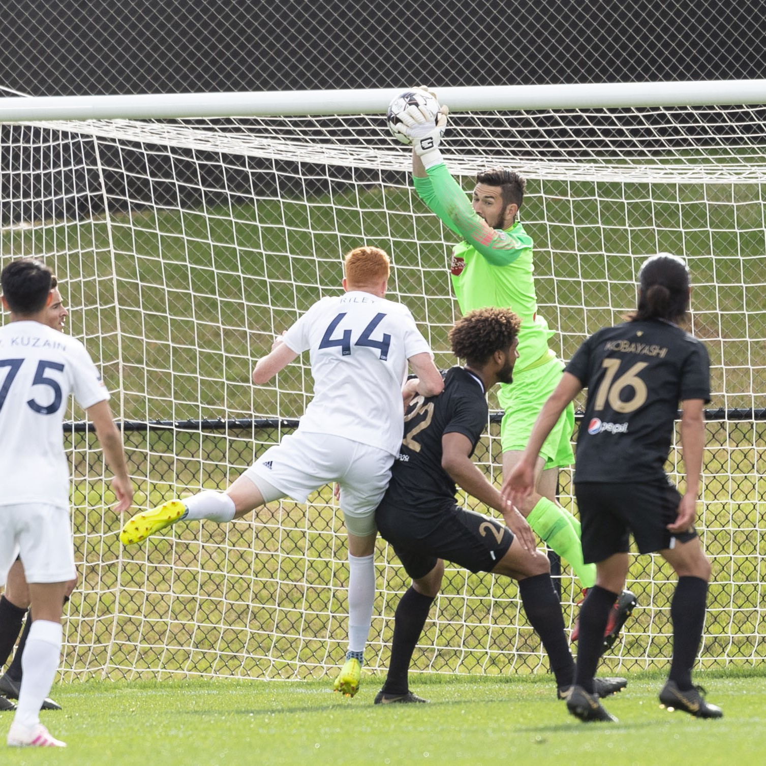 a pro soccer game